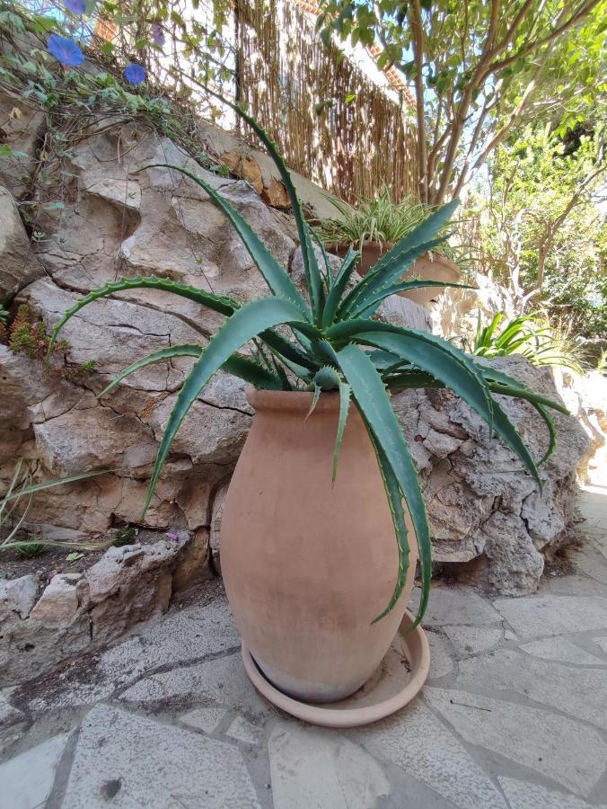 בנדול Les Galets Hotel Et B&B מראה חיצוני תמונה
